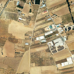 Iniesta map(satellite map)