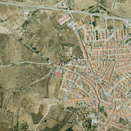 Aliseda map(satellite map)