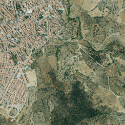 Madroñera map(satellite map)
