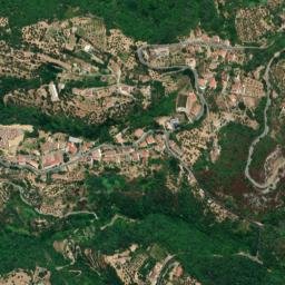 Rose map(satellite map)
