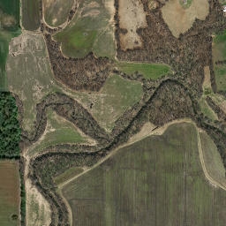 Ray County map(satellite map)