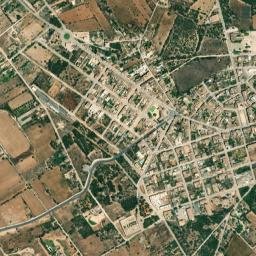 Ses Salines map(satellite map)