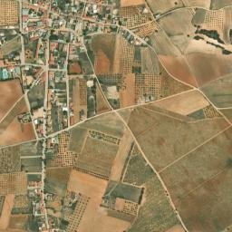 Casas de los Pinos map(satellite map)