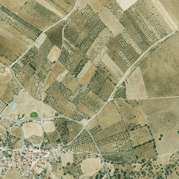 Benquerencia map(satellite map)