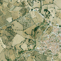 Salvatierra de Santiago map(satellite map)