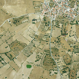 Santa Ana map(satellite map)