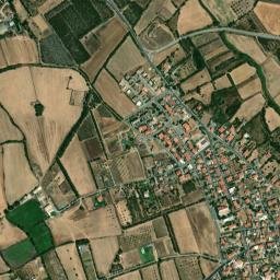 Musei map(satellite map)