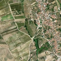Alcanhões map(satellite map)