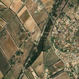 Olia Speciosa map(satellite map)