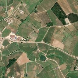 Peral map(satellite map)