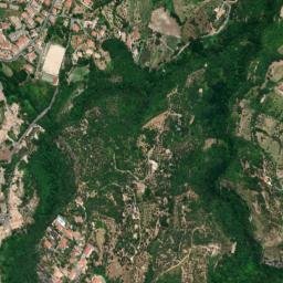 Mendicino map(satellite map)