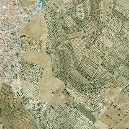 Albalá map(satellite map)