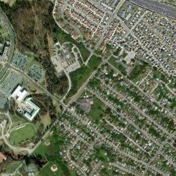 Arbutus map(satellite map)