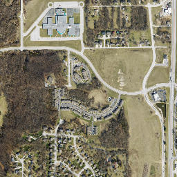 Lansing map(satellite map)