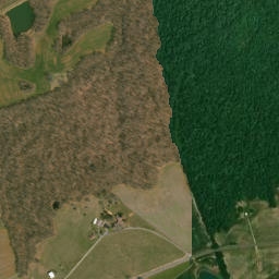 959 State Hwy Z Silex MO 63377 High Resolution Satellite Map