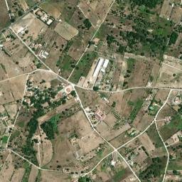 Cartaxo map(satellite map)