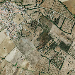 Carmonita map(satellite map)