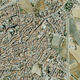 Miajadas map(satellite map)