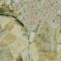 Madrigalejo map(satellite map)