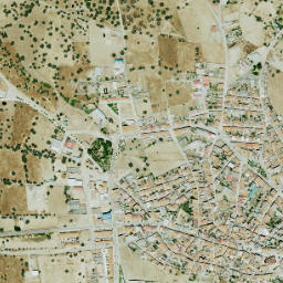 Fuenlabrada de los Montes map(satellite map)