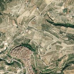 Bicorp map(satellite map)