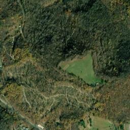 Barbour County map(satellite map)