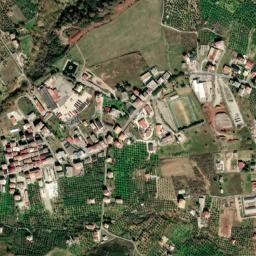 Foresta map(satellite map)
