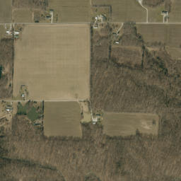 Ripley County map(satellite map)