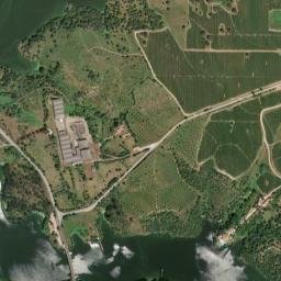 Avis map(satellite map)