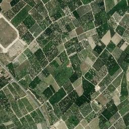 Senyera map(satellite map)