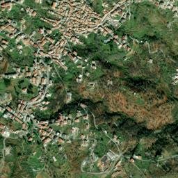 Petronà map(satellite map)