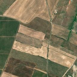 Campo Maior map(satellite map)