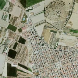 Santa Amalia map(satellite map)