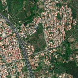 Falerna Scalo map(satellite map)