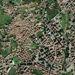 Nicastro map(satellite map)