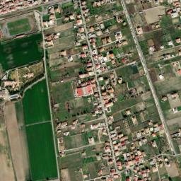 Botricello map(satellite map)
