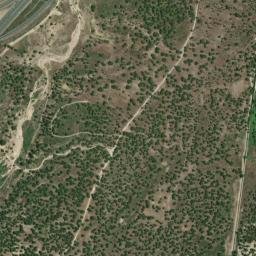 Benavente map(satellite map)