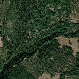 Pino Grande California High Resolution Satellite Map