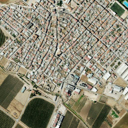 Arroyo de San Serván map(satellite map)