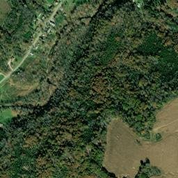 Dunkinsville Ohio High Resolution Satellite Map