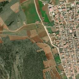 San Carlos del Valle map(satellite map)