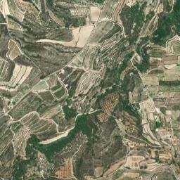 Carrícola map(satellite map)