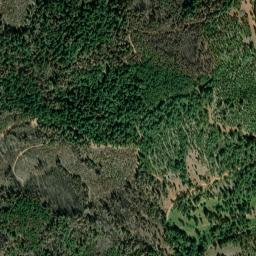 Soapweed California High Resolution Satellite Map