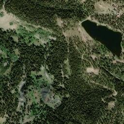 Floresta Colorado High Resolution Satellite Map