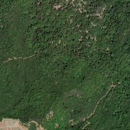 Black Oaks California High Resolution Satellite Map