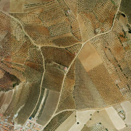 Manchita map(satellite map)