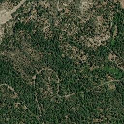 Sciots Camp California High Resolution Satellite Map