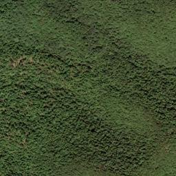 Randolph County map(satellite map)