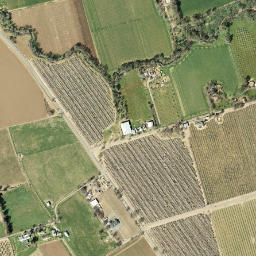 Tancred California High Resolution Satellite Map