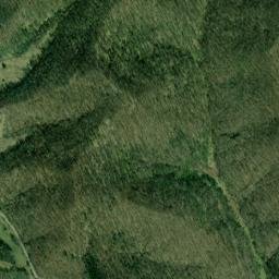 Roane County map(satellite map)